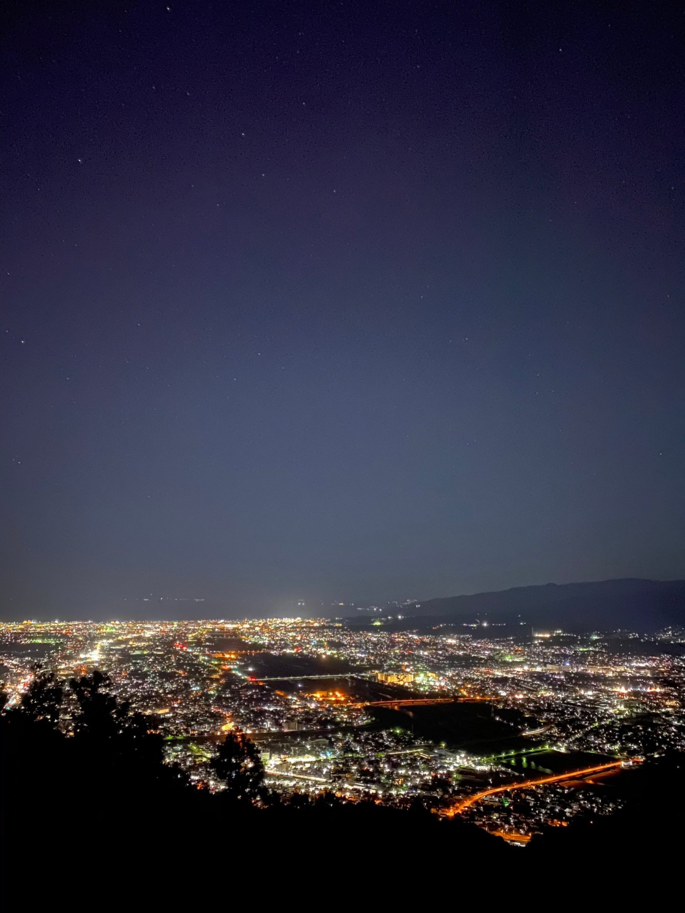 桑原 涼凪