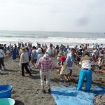 今年もやりました！地引網。そして明日は見学会です。