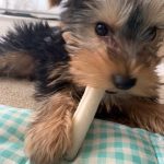 1週間も早いけど1年も早い💦