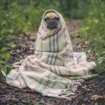 気を付けよう、冬場のヒートショック　～茅ヶ崎市・藤沢市・平塚市・鎌倉市・寒川で家を建てる時に役立つ新築住宅コラム～