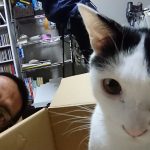 あけましておめでとうございます