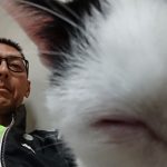 ネコのおもちゃ