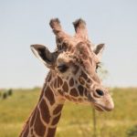 視線の失敗　～茅ヶ崎市・藤沢市・平塚市・鎌倉市・寒川で家を建てる時に役立つ新築住宅コラム～