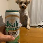 一年早い　上半期終了💦