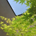 中庭のある暮らし　茅ヶ崎市・藤沢市・平塚市・鎌倉市・寒川で家を建てる時に役立つ新築住宅コラム～