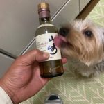 んーやっぱり納豆旨し