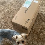 ダイエット　今度こそ！