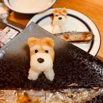 今シーズン初！