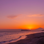 2020年お世話になりました。