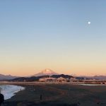 本年も宜しくお願い致します。