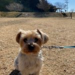 もうそこまで春