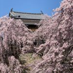 久しぶりの日帰り旅行　上田城編
