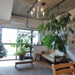 グリーンのある暮らし　茅ヶ崎市・藤沢市・平塚市・鎌倉市・寒川で家を建てる時に役立つ新築住宅コラム～