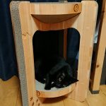 バリバリボウルタワーその後