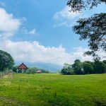 久しぶりの蕎麦旅