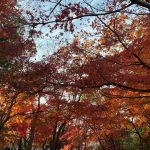 What is Chigasaki Like?③  ～茅ヶ崎市・藤沢市・平塚市・鎌倉市・寒川町・湘南エリアで家を建てる時に役立つ新築住宅コラム～