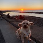 今年も宜しくお願いします。