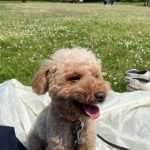 休日の過ごし方