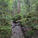 初登山してきました！