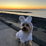 明けましておめでとうございます。