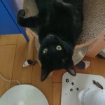 6月ゴルフ