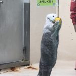 夏休み②