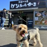 吉野ケ里遺跡と糸島観光