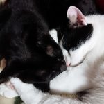 5歳になりました