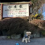 仙石原で釜めしと温泉