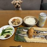 この季節がやって来ました。