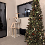 クリスマスシーズンです！