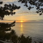 明けましておめでとうございます。