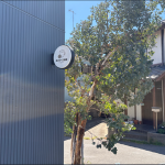 気になってたシリーズ①