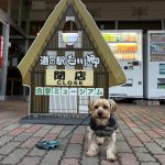 世界遺産
