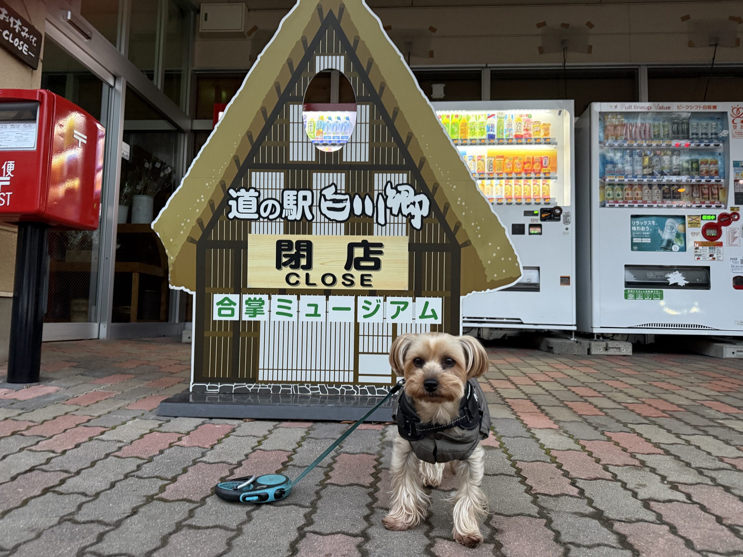 世界遺産